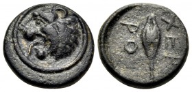 THRACE. Chersonesos. Circa 386-309 BC. Chalkous (Bronze, 11 mm, 1.40 g, 12 h). Head of lion left, tongue protruding. Rev. XEP/PO Barley grain. SNG Cop...