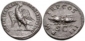 Hadrian, 117-138. Quadrans (Copper, 18.5 mm, 3.26 g, 6 h), Rome, 121-122. IMP CAESAR TRAIA-N HADRIANVS AVG Eagle, with spread wings, standing left, hi...