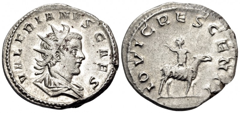 Valerian II, Caesar, 256-258. Antoninianus (Silver, 21.5 mm, 3.97 g, 6 h), Colog...