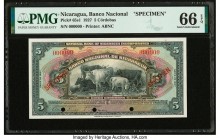 Nicaragua Banco Nacional 5 Cordobas 1927 Pick 65s1 Specimen PMG Gem Uncirculated 66 EPQ. Red Specimen overprints; three POCs.

HID09801242017

© 2020 ...