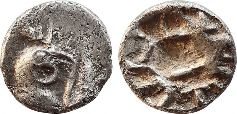 MYSIA. Kyzikos. Obol (CIrca 550-500 BC).
Obv: Head of cock right, holding head ...