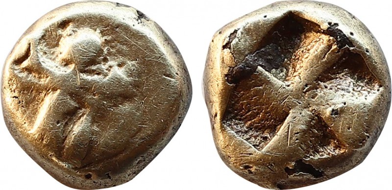 MYSIA. Kyzikos. Circa 550-500 BC. Fourree Hemihekte – 1/12 Stater. Obv: Forepart...