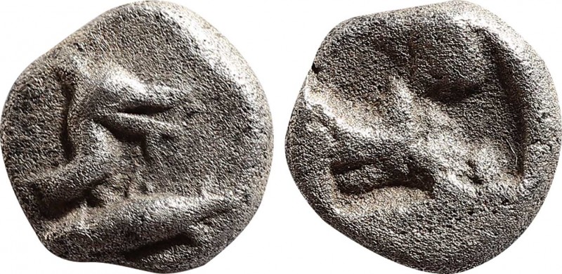 MYSIA, Kyzikos. Circa 520-480 BC. AR Obol.
Obv: Head and neck of bird right, it...