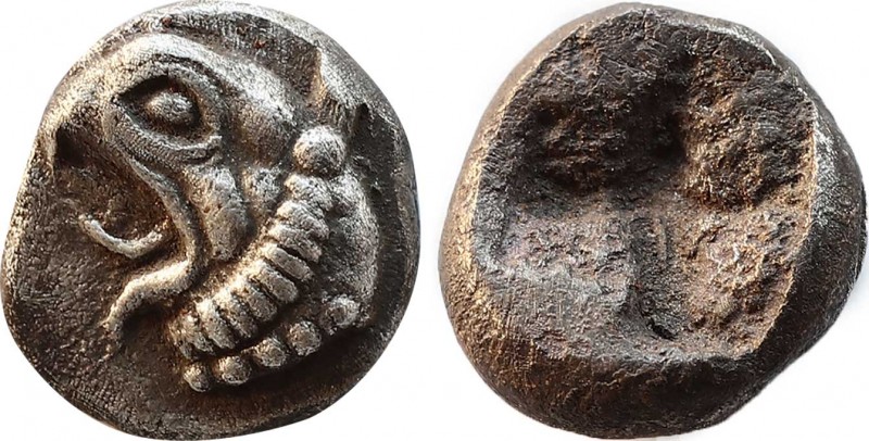 IONIA. Phokaia. Diobol (Circa 521-478 BC).
Obv: Head of griffin left.
Rev: Rough...