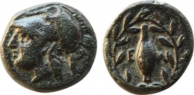 AEOLIS. Elaia. Ae (Mid 4th-3rd century BC).
Obv: Helmeted head of Athena left.
Rev: Ε - Λ.
Grain ear within olive wreath.
Cf. SNG Copenhagen 171-2 (la...