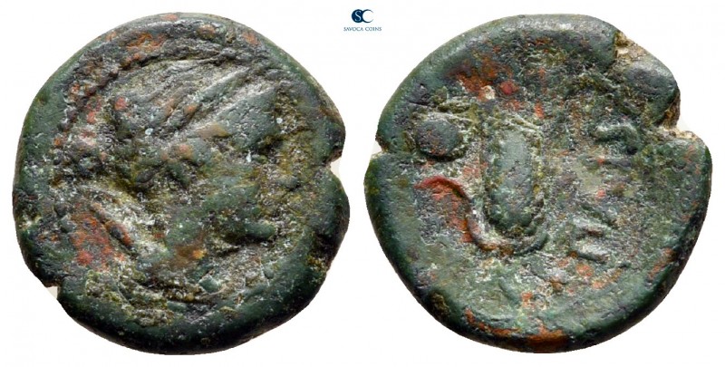 Lucania. Paestum. Second Punic War 220-205 BC. 
Bronze Æ

14 mm., 2,20 g.

...