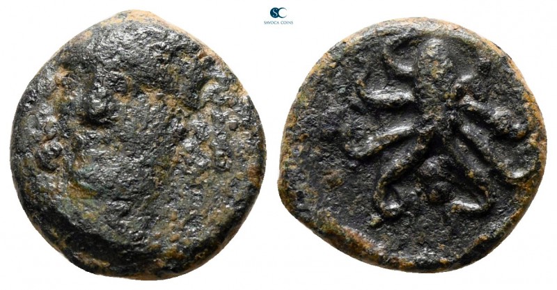 Sicily. Syracuse. Dionysios I 405-367 BC. 
Tetras Æ

13 mm., 1,78 g.



n...