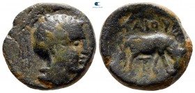 Macedon. Roman protectorate circa 148-146 BC. G. Publius, Quaestor . Bronze Æ