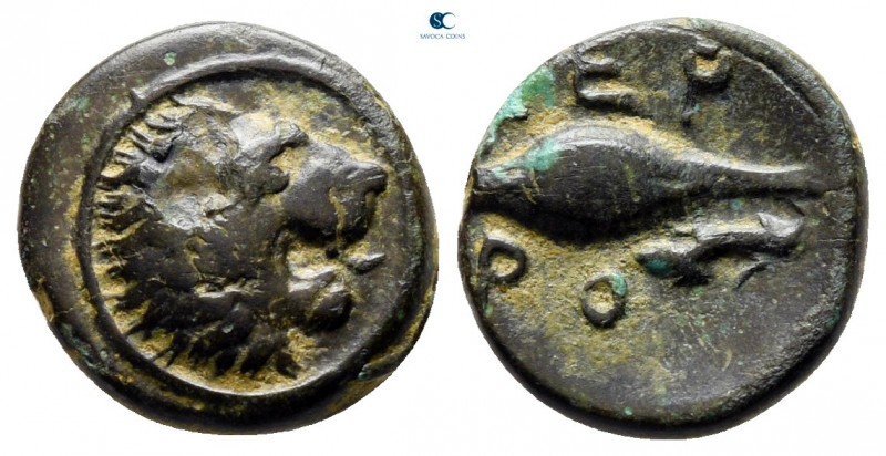 Thrace. Chersonesos circa 386-309 BC. 
Bronze Æ

11 mm., 1,36 g.



very ...