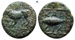 The Thracian Chersonese. Cardia circa 357-309 BC. Bronze Æ