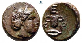Kings of Thrace. Kypsela. Odrysian. Kersebleptes 359-340 BC. Bronze Æ