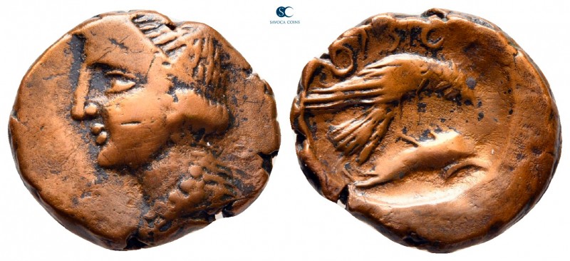 Scythia. Olbia circa 380-360 BC. 
Bronze Æ

18 mm., 4,29 g.



very fine