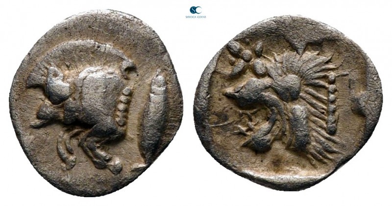 Mysia. Kyzikos circa 480-400 BC. 
Hemiobol AR

9 mm., 0,39 g.



very fin...