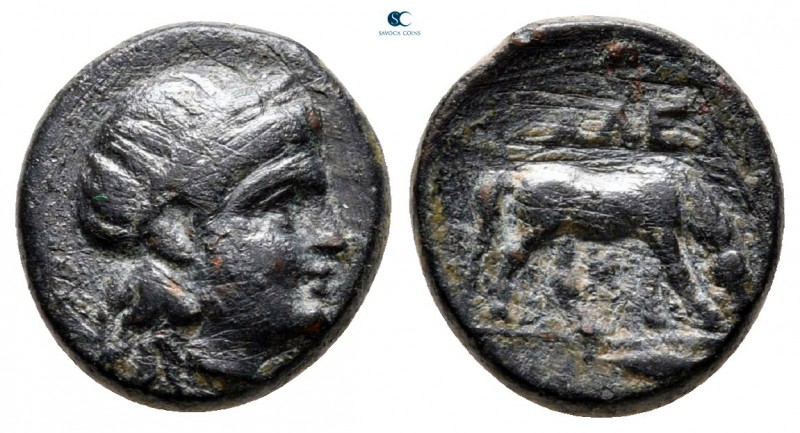 Troas. Alexandreia circa 300-200 BC. 
Bronze Æ

12 mm., 2,02 g.



very f...