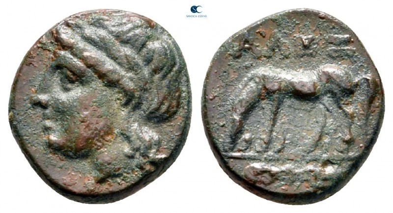 Troas. Alexandreia circa 300-200 BC. 
Bronze Æ

12 mm., 1,59 g.



very f...