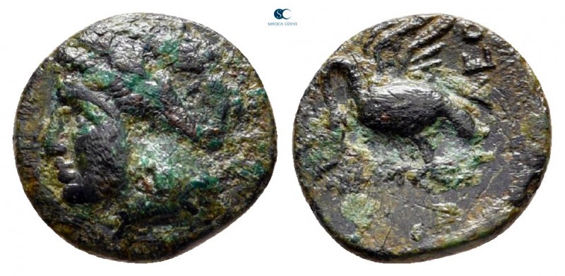 Ionia. Leukai circa 350-300 BC. 
Bronze Æ

9 mm., 0,82 g.



very fine