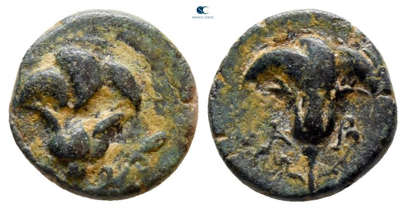 Caria. Rhodos circa 250-200 BC. 
Bronze Æ

10 mm., 1,14 g.



nearly very...