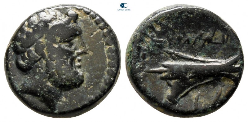 Phoenicia. Arados circa 206-126 BC. 
Bronze Æ

14 mm., 3,64 g.



very fi...