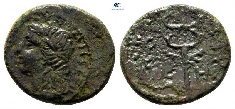 Seleucis and Pieria. Antioch. Pseudo-autonomous issue AD 140-150. 
Bronze Æ

...