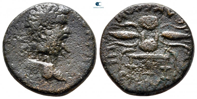 Seleucis and Pieria. Seleuceia Pieria. Septimius Severus AD 193-211. 
Bronze Æ...