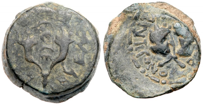 Judea (Ancient)
Mattatayah Antigonus (Mattatayah). 40-37 BCE. AE 8-Prutot (13.7...