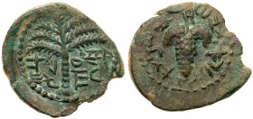 Judea (Ancient)
Bar Kokhba Revolt, Year One, 132-135 CE, AE Small Bronze 20 mm (5.30 g). Year 1 (132/3 CE. 'Eleazar the Priest' (Paleo-Hebrew) across...