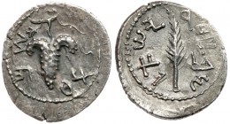 Judea (Ancient)
Bar Kokhba Revolt. Silver Zuz (2.58 g), 132-135 CE. Year 2 (133/4 CE). 'Shim'on', grape bunch on vine with small leaf and tendril. Re...