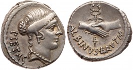 Roman Republic (Ancient, pre-41 BC)
Albinus Bruti f. Silver Denarius (4.02 g), 48 BC. Rome. PIETAS behind, bare head of Pietas right. Reverse: ALBINV...