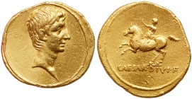 Roman Imperatorial Period (Ancient, 49-27 BC)
Octavian. Gold Aureus (7.72 g), 32-31 BC. Uncertain Italian mint (Rome?). Bare head of Octavian right. ...