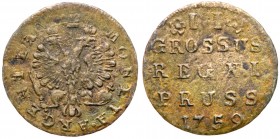 II Groschen 1759. Königsberg. 

1.04 gm. Numerals in value II widely spaced. Olding 458a, Bit 763 (R1), Diakov 660 (R1), Sev 1782, Uzd 4878. Somewha...