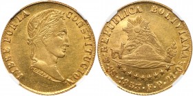 Bolivia
Gold 8 Escudos, 1853 PTS-FP (Potosi). Laureate head of Bolivar right, name in neck truncation, Rev. Radiant sun above Cerro de Potosi, alpaca...