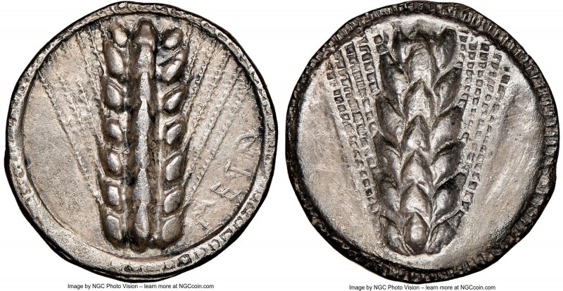 LUCANIA. Metapontum. Ca. 510-470 BC. AR stater (24mm, 7.21 gm, 11h). NGC Choice ...
