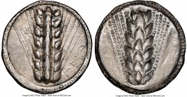 LUCANIA. Metapontum. Ca. 510-470 BC. AR stater (24mm, 7.21 gm, 11h). NGC Choice XF 5/5 - 3/5. META, seven-grained barley ear; guilloche border on rais...