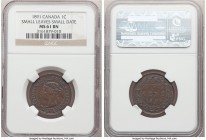 Victoria "Small Date - Small Leaves" Cent 1891 MS61 Brown NGC, London mint, KM7. Small leaves, small date variety. 

HID09801242017

© 2020 Herita...