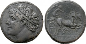 SICILY. Syracuse. Hieron II (275-215 BC). Tetralitron. 

Obv: Diademed head left.
Rev: IEPΩNOΣ. 
Nike driving biga right, holding kentron and rein...