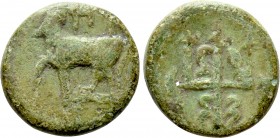 THRACE. Byzantion. Ae (4th-3rd centuries BC). 

Obv: 'ΠΥ. 
Bull, raising foreleg, standing left on dolphin left.
Rev: Ornate trident head; dolphin...
