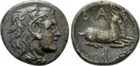 KINGS OF MACEDON. Philip V (221-179 BC). Ae. Pella or Amphipolis. 

Obv: Head of Herakles right, wearing lion skin.
Rev: BA / Φ. 
Two goats recumb...