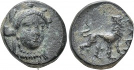MYSIA. Eleutherion. Ae (4th century BC). 

Obv: Head of Athena facing slightly right, wearing triple crested helmet.
Rev: ΕΛΕY. 
Lion standing rig...