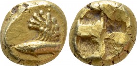 MYSIA. Kyzikos. EL Hekte (Circa 600-550 BC). 

Obv: Tunny left with wing of griffin above.
Rev: Quadripartite incuse square.

Cf. Nomisma VII 33 ...