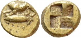 MYSIA. Kyzikos. EL Hemihekte (Circa 550-450 BC). 

Obv: Lioness or panther at bay left on tunny left.
Rev: Quadripartite incuse square.

Von Frit...