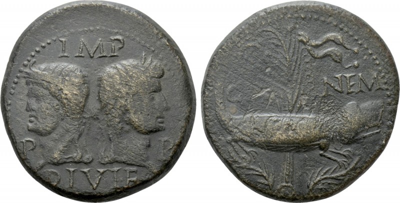 GAUL. Nemausus. Augustus with Agrippa (27 BC-14 AD). As. 

Obv: IMP / P - P / ...
