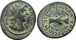 PHRYGIA. Hierapolis. Pseudo-autonomous. Time of Philip I 'the Arab' (244-249). Ae. Homonoia issue with Ephesus. 

Obv: ΛΑΙΡΒΗΝΟϹ. 
Radiate and drap...