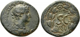 SELEUCIS & PIERIA. Antioch. Hadrian (117-138). Ae. 

Obv: ΑΥΤΟΚΡ ΚΑΙϹ ΤΡΑΙΑΝ ΑΔΡΙΑΝΟϹ ϹΕΒ. 
Laureate, draped and cuirassed bust right.
Rev: S C in...