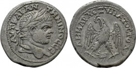 PHOENICIA. Berytus. Caracalla (197-217). Tetradrachm. 

Obv: AYT KAI ANTWNINOC CE. 
Laureate head right.
Rev: ΔHMAPX EΞ YΠATOC TO Δ. 
Eagle stand...