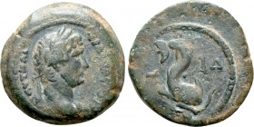 EGYPT. Alexandria. Hadrian (117-138). Ae. Dated RY 14 (129/30). 

Obv: ΑΥΤ ΚΑΙ ΤΡΑΙ ΑΔΡΙΑ ϹƐΒ. 
Laureate head right, slight drapery.
Rev: L ΙΔ. 
...