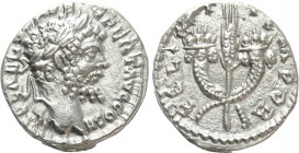 SEPTIMIUS SEVERUS (193-211). Denarius. Emesa. 

Obv: IMP CAE L SEP SEV PERT AVG COS II. 
Laureate head right.
Rev: FELICIT TEMPOR. 
Grain ear bet...
