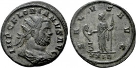 FLORIANUS (276). Antoninianus. Rome. 

Obv: IMP C FLORIANVS AVG. 
Radiate, draped and cuirassed bust right.
Rev: SALVS AVG / XXI Δ. 
Salus standi...