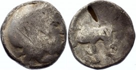 Celtic Imitation of Tetradrachm 100 - 200 BC
Geto-Dacian imitation of Celtic coins. Tetradrachm