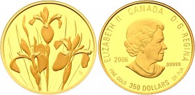 Canada 350 Dollars 2006 
KM# 626; Gold ( .999) 35g 34mm; "Iris Versicolor"; With Original Box & Certificate