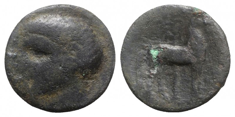 Spain, Carthago Nova, after 209 BC. Æ Unit (22mm, 10.98g, 12h). Bare-head l. R/ ...